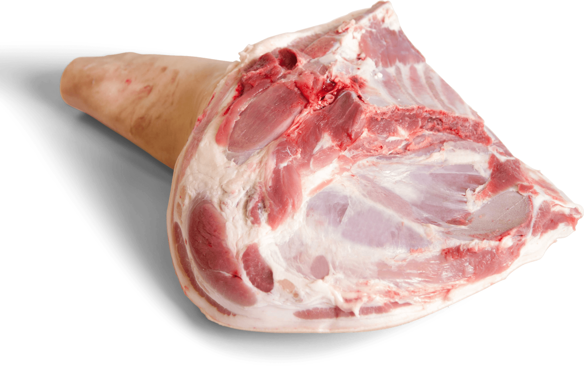 Pork Shoulder Tennis Cut with Riblet