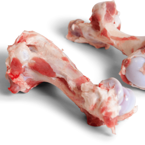 Pork Humerus Bone
