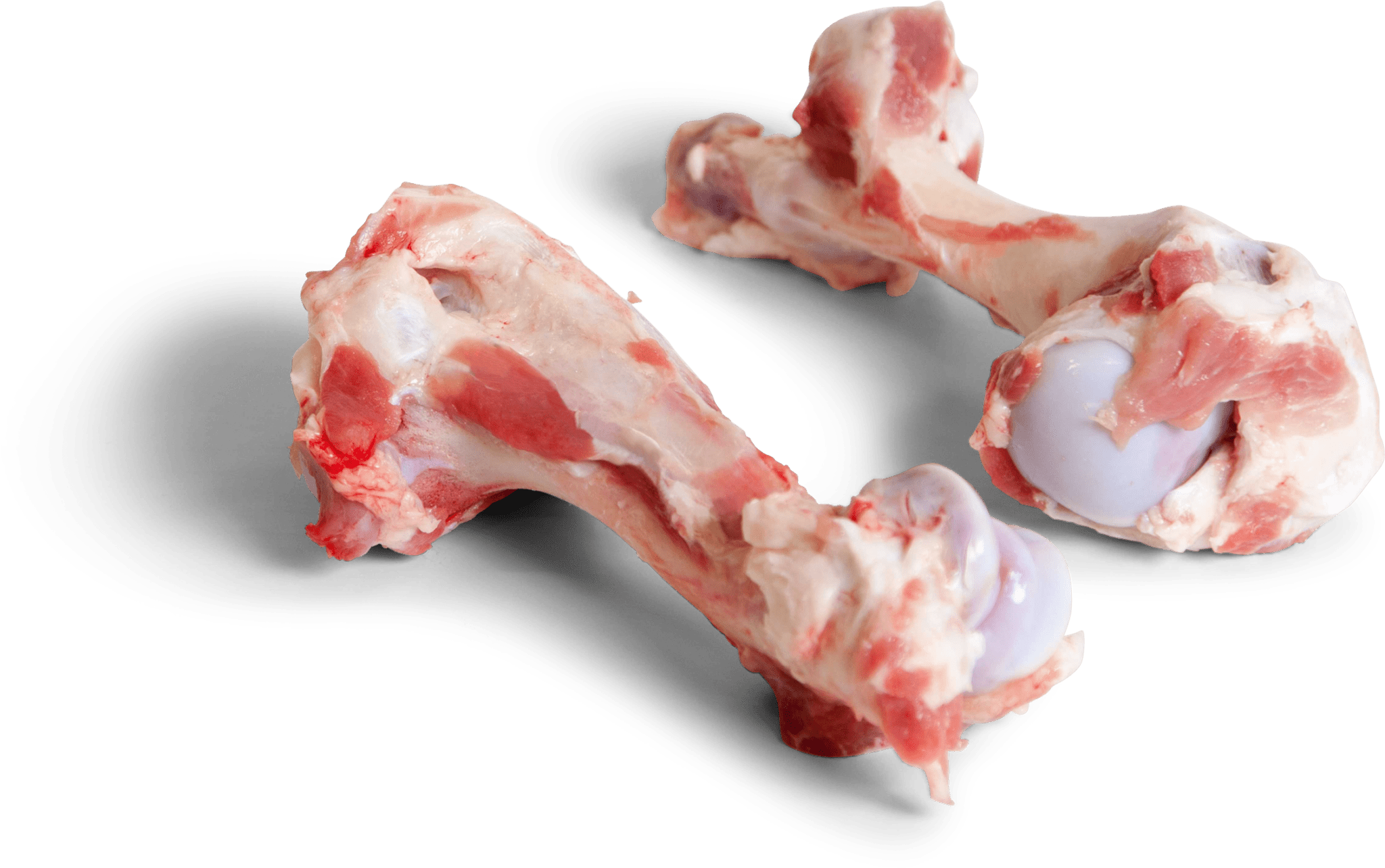 Pork Humerus Bone