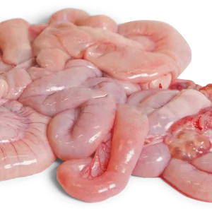 Quality Frozen Pork Small Intestines