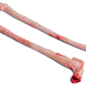 Quality Frozen Pork Penis