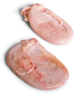Quality Frozen Pork Bladder