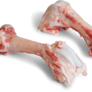 Frozen Pork Femur Bone