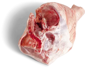 Frozen Pork Leg, Without Foot, Without Head of Tenderloins