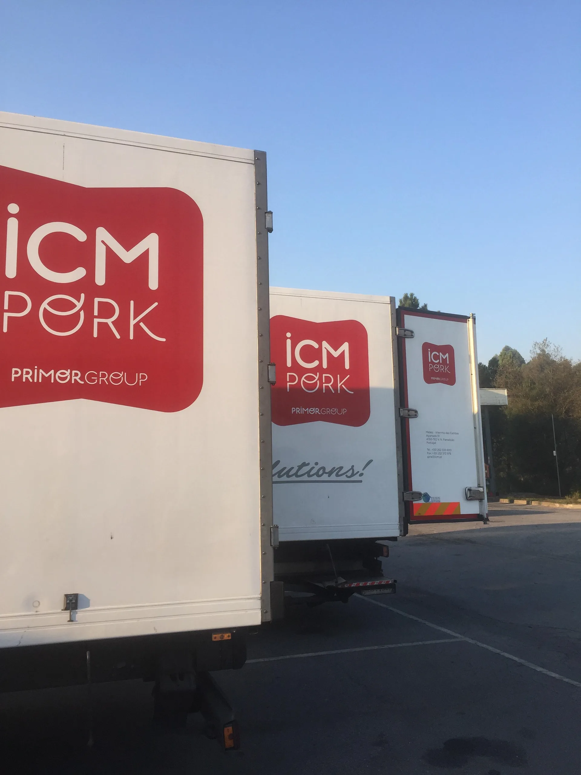 ICM PORK