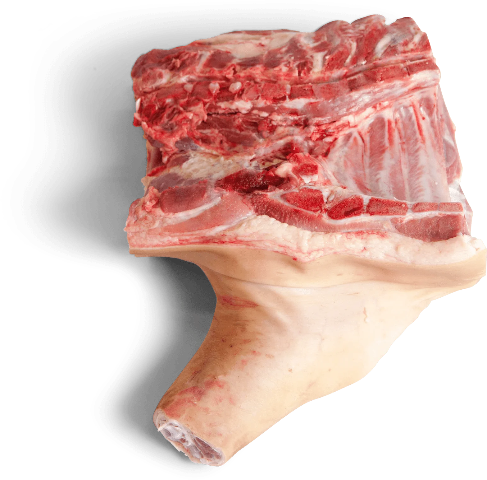 frozen pork fore-end without jowl