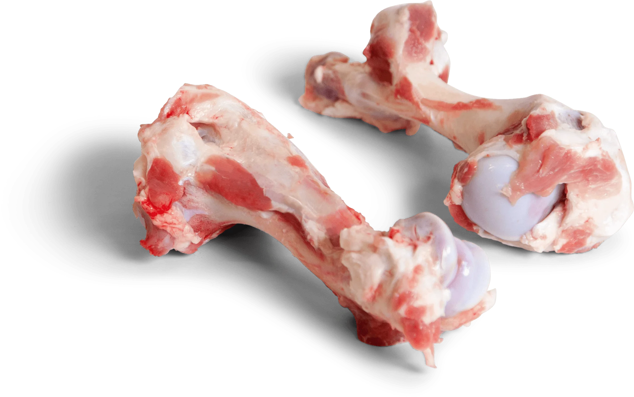 frozen pork humerus bone